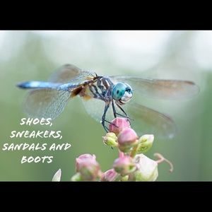 Shoes: Sneakers, Sandals and Boots